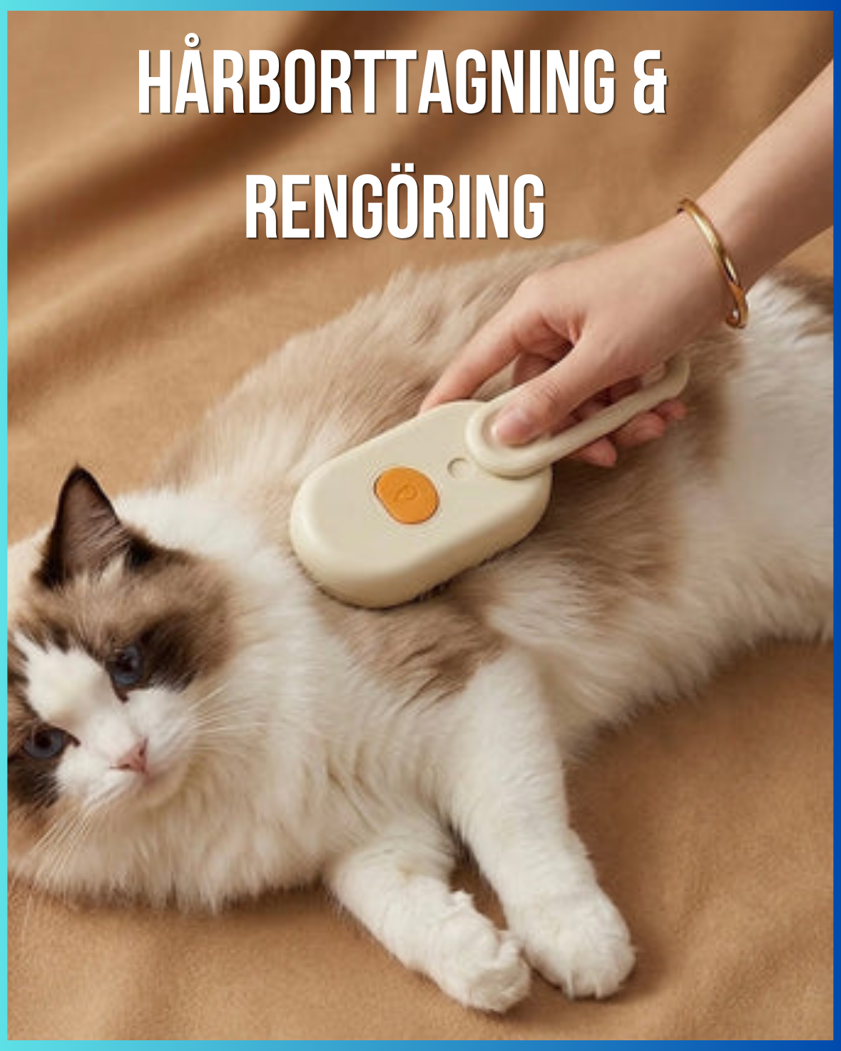 Hårborttagning & Rengöring
